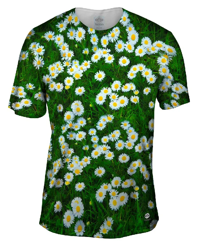 Online Only Field Of Daisies