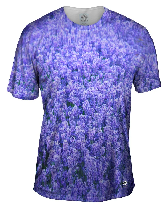 Blowout Sale Norfolk Lavender