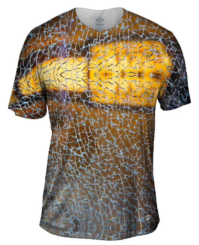 Price Meltdown Shattered Pieces Glass