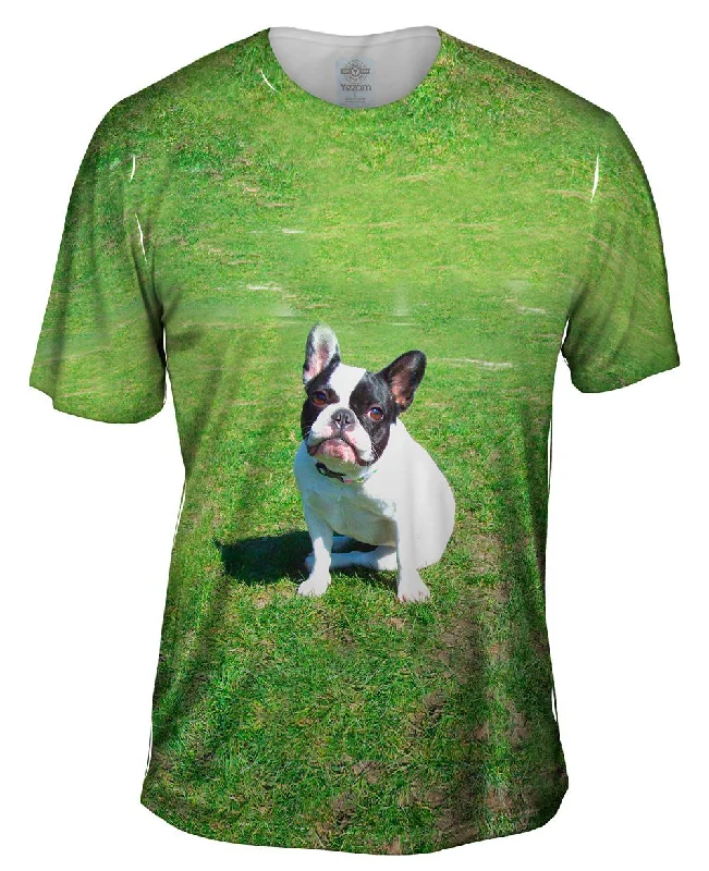Daily Deals Sophisticated French Bulldog